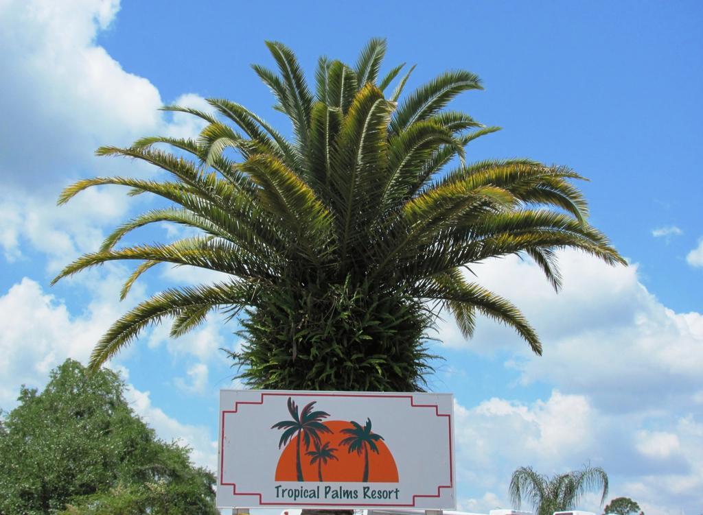 Tropical Palms Resort & Campground 키시미 외부 사진